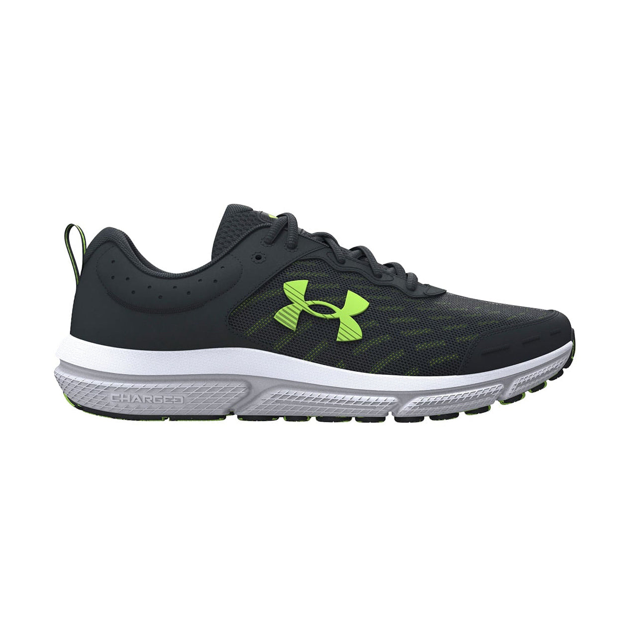 UA CHARGED ASSERT 10